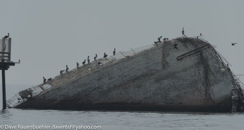 This Preserved Sunken Ship From World War I Is Hiding In Northern California