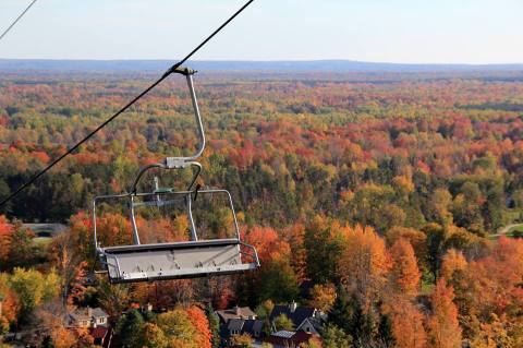 9 Unique Ways To Check Out Michigan's Stunning Fall Foliage