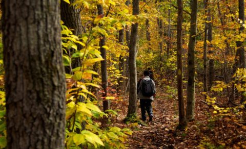 10 Short And Sweet Fall Hikes In Massachusetts With A Spectacular End View