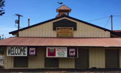 The Little-Known Place In Hawaii That Serves The Best Coffee Floats