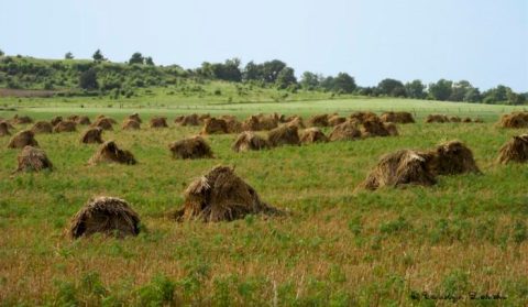 This Tiny, Isolated Kansas Village Is One Of The Last Of Its Kind