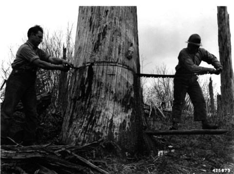 History Left A Definite Mark At This One Fascinating Spot In West Virginia