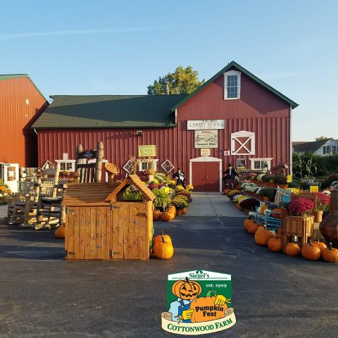 The Fall Farm Train Ride Near Chicago That's Perfect For A Fall Day