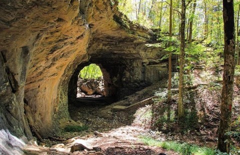 See It All On This Magical Trail In Kentucky That Will Bring Out The Explorer In You