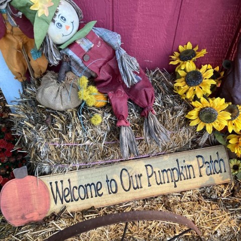 If You Only Visit One Pumpkin Patch In Oklahoma This Fall, Make It This One