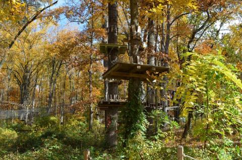 Take A Canopy Tour At The Adventure Park At Sandy Spring In Maryland To See The Fall Colors Like Never Before