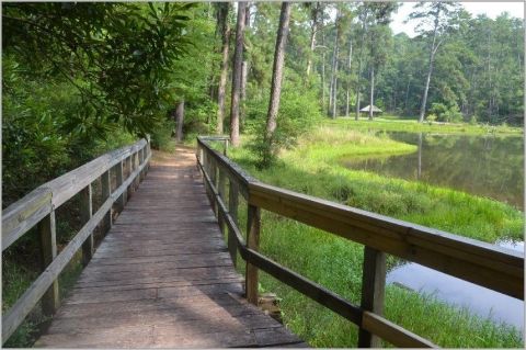 One Of The Most Beautiful Day Hikes In America Is Right Here In Mississippi