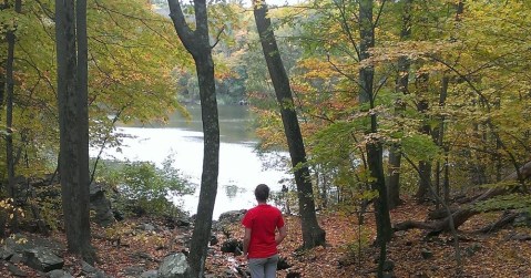 7 Short And Sweet Fall Hikes In Rhode Island With A Spectacular End View