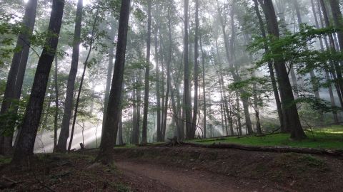 One Of The Most Beautiful Day Hikes In America Is Right Here In West Virginia