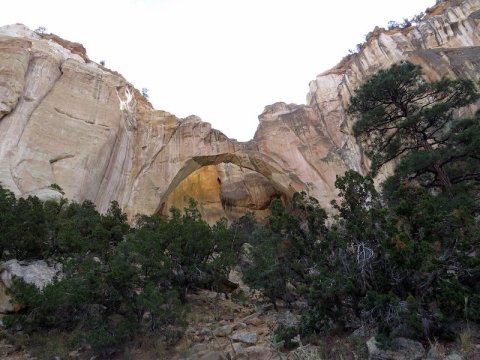 5 Hikes In New Mexico That Will Lead You To Stunning Natural Arches