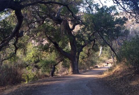 One Of The Most Beautiful Day Hikes In America Is Right Here In Southern California
