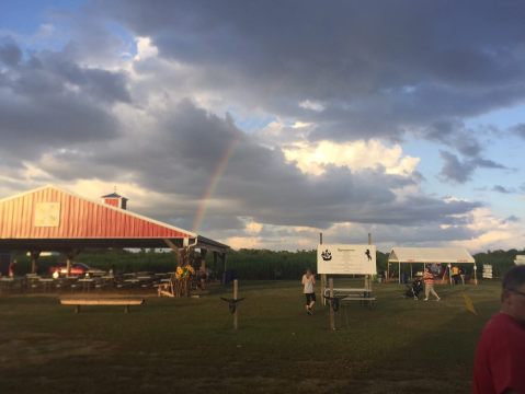 Most People Have No Idea This Amazing Farm Park In North Carolina Even Exists