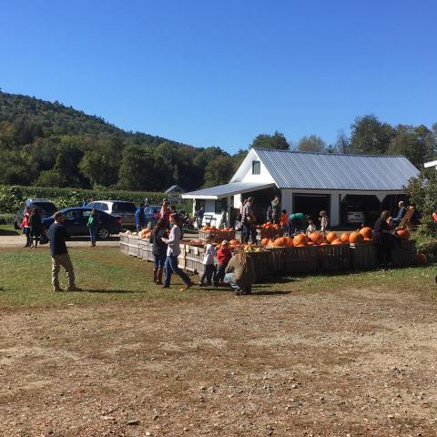 This New Hampshire Farm Has Amazing Maple Creemees You Have To Try