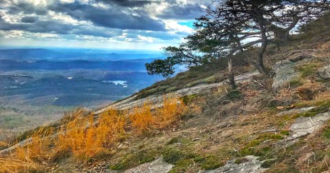 The Breathtaking South Carolina Hike That Glows Gold Once A Year