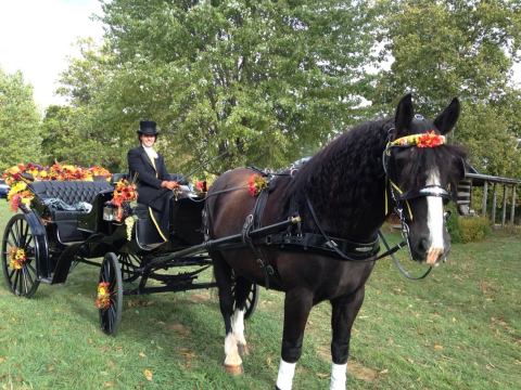 The Classic Indiana Fall Celebration You Won't Want To Miss