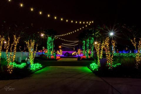 Take An Enchanting Winter Walk Through Gulfport Harbor In Mississippi