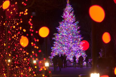 The Magical Pennsylvania Garden That Comes Alive With Light Each Winter