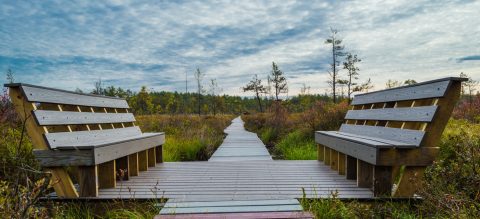 You Haven't Lived Until You've Experienced This One Incredible Park In Maine