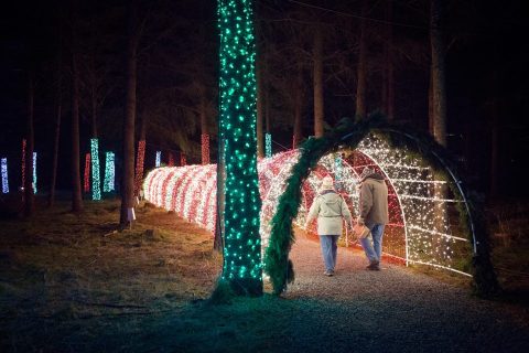 Take An Enchanting Winter Walk Through Oregon Garden In Oregon