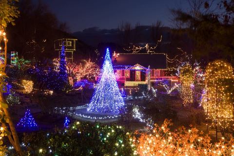 The Winter Walk In Idaho That Will Positively Enchant You