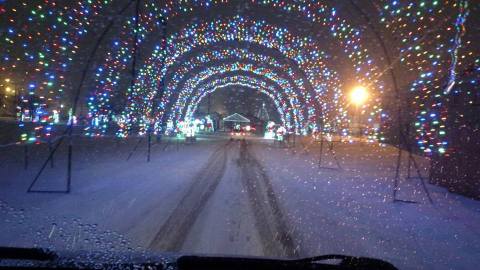 The Winter Walk Near Buffalo That Will Positively Enchant You