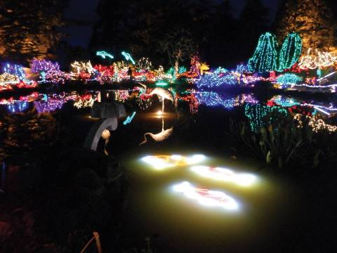 The One State Park In Oregon That Will Transform Into A Magical Winter Wonderland This Year