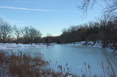 The Amazing Natural Ice Skating Rink In New Jersey You'll Want To Visit