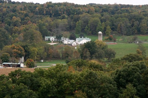 This Delicious Restaurant Hidden On A Rural Ohio Road Is A True Culinary Gem