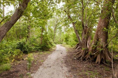 Some Incredible Pieces Of History Await You At The End Of These Louisiana Trails