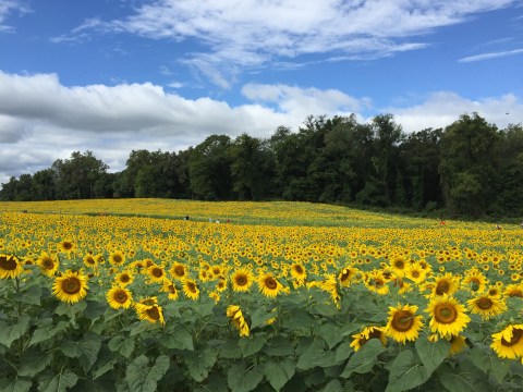 This Charming Town Is Perfect For A Day Trip From Baltimore