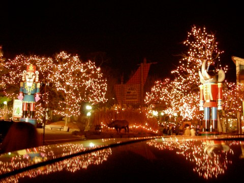 The Magical Ohio Garden That Comes Alive With Light Each Winter