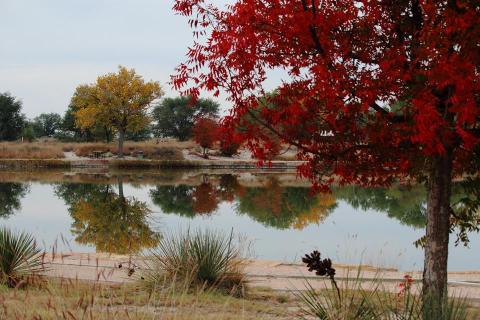 This Delightful New Mexico Outdoor Oasis is Closer Than You Think