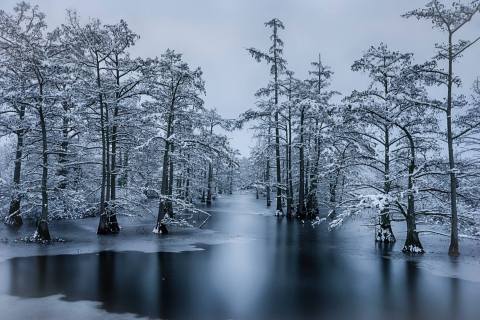 9 Picturesque Trails In Arkansas That Are Perfect For Winter Hiking