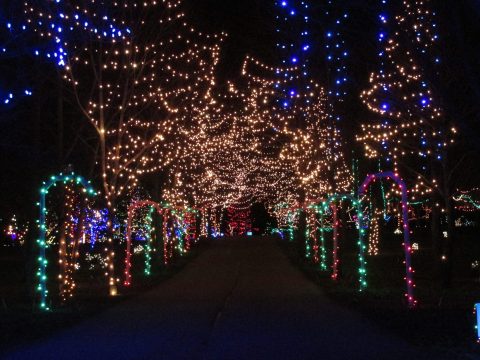 14 Magical Light Displays In Ohio That Will Simply Mesmerize You This Season