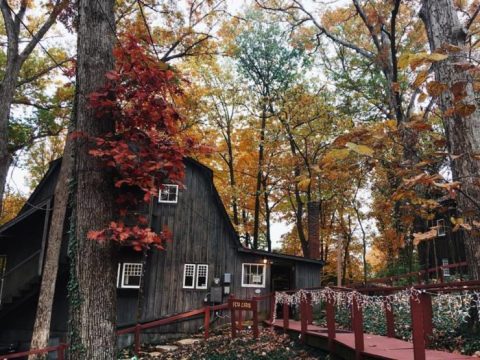 Explore An Intriguing Piece Of Kentucky History At This Hidden Gem In The Woods