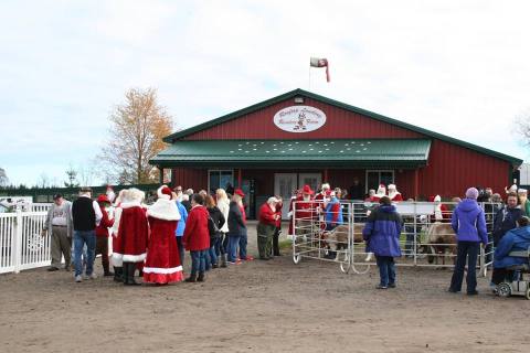 This Reindeer Farm In Michigan Will Positively Enchant You This Season