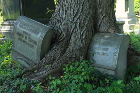 9 Staggering Photos Of An Abandoned Cemetery Hiding In Philadelphia