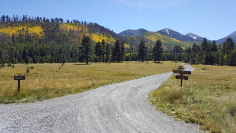 8 Roads In Arizona With The Best Fall Windshield Views