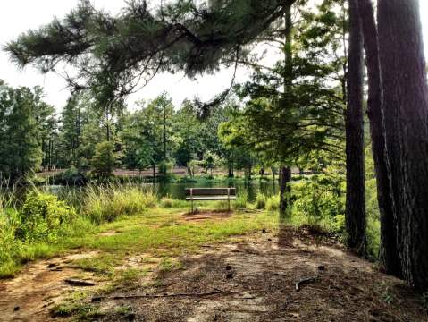 These 7 Secluded Parks In Louisiana Are A Nature Lover's Paradise