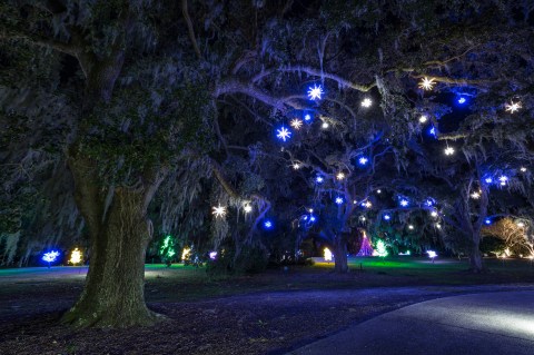 Take An Enchanting Winter Walk Through Airlie Gardens In North Carolina