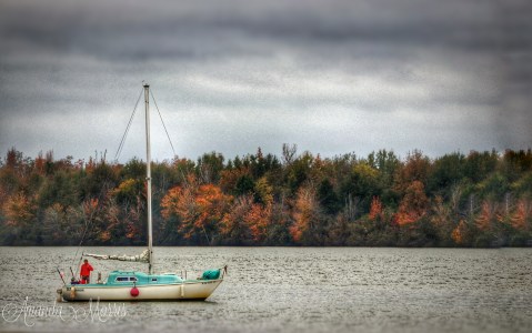 10 Rivers In Mississippi That Are So Much More Than Just A Body Of Water