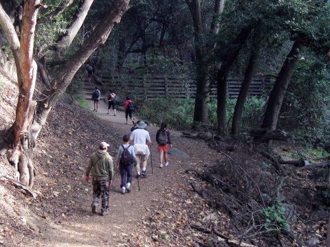 There's  A Waterfall Tucked Inside This Southern California Park And It's Beyond Beautiful