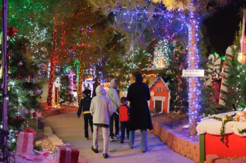 The Enchanting Winter Walk In Nevada You Will Absolutely Love