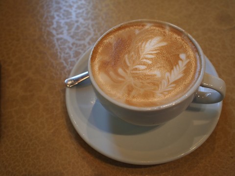 This Festival In Denver Is A Dream Come True For Coffee Lovers