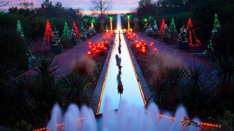 The Winter Walk In Charlotte That Will Positively Enchant You