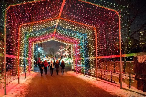 The Winter Walk In Chicago That Will Positively Enchant You