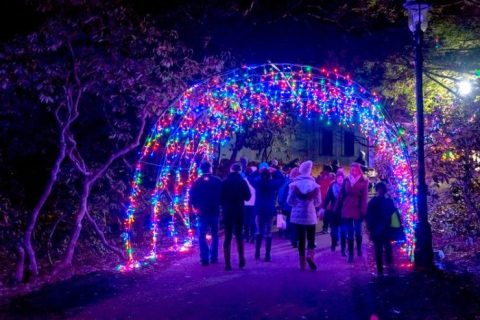 Take An Enchanting Winter Walk Through Heritage Museums & Gardens In Massachusetts