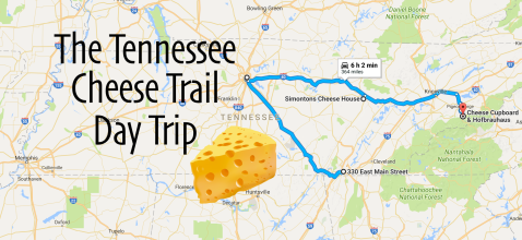 Take This Cheese Trail Through Tennessee For The Most Delicious Day Trip Ever