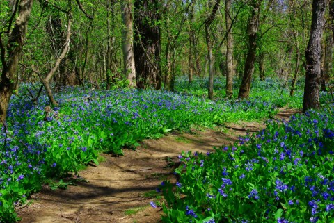 8 Easy Hikes To Add To Your Outdoor Bucket List In Columbus