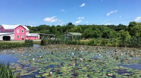 This Hidden Spot In Maryland Is Unbelievably Beautiful And You’ll Want To Find It